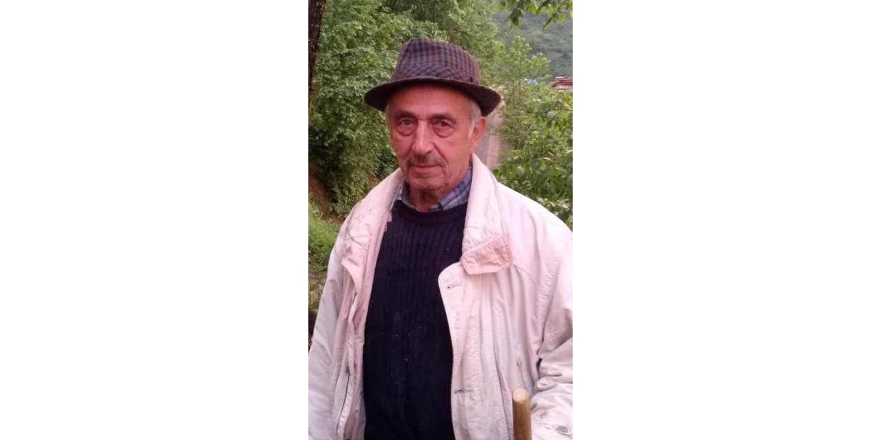 Yaşlı adamın cesedi yol kenarında bulundu