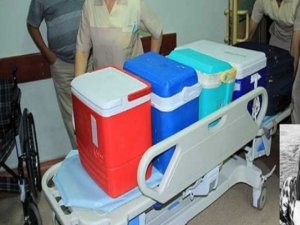 Organlarıyla "Hayat" verecek