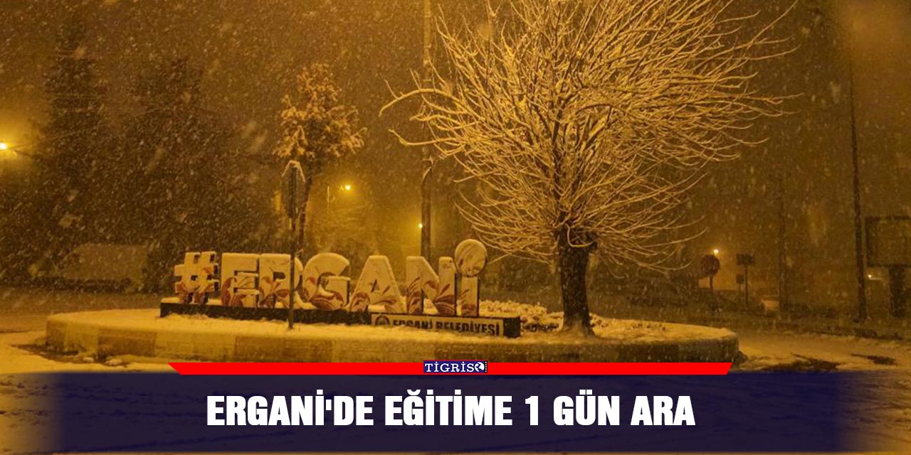 Ergani'de eğitime 1 gün ara