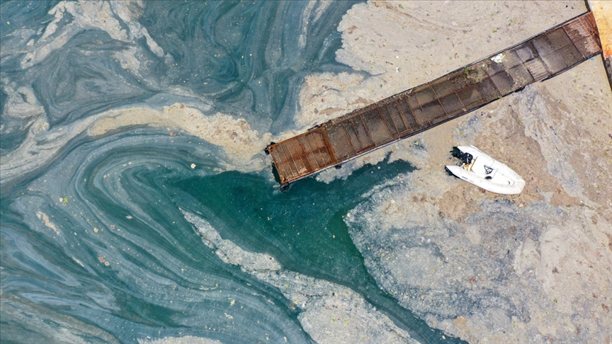 ‘Marmara Denizi 5 yılda eski haline dönebilir’