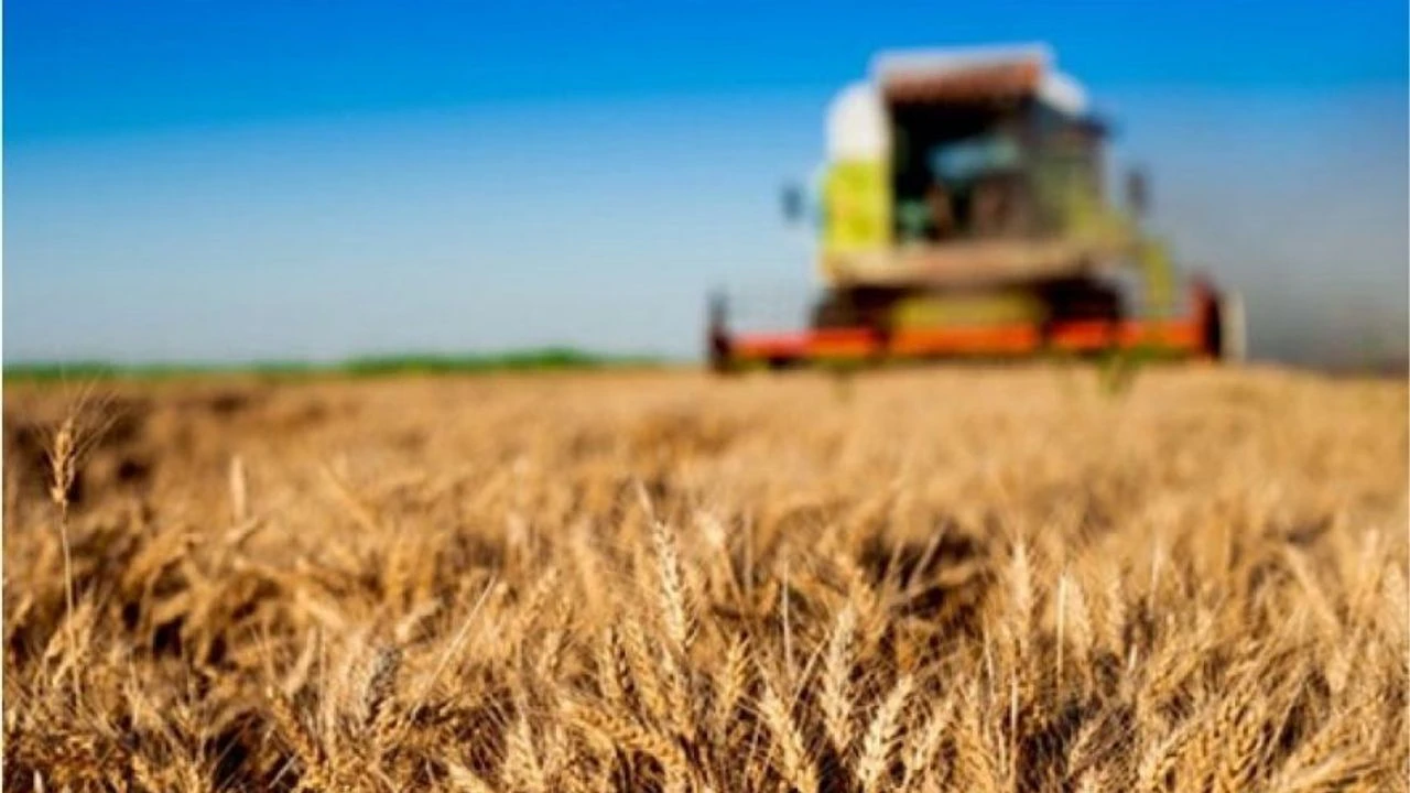 Tarım-ÜFE Ocak ayında yıllık %35,54 arttı