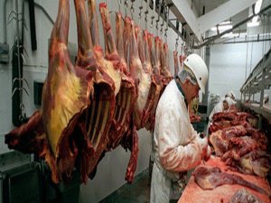 Domuz ürünleri gıdaya temas etmeyecek