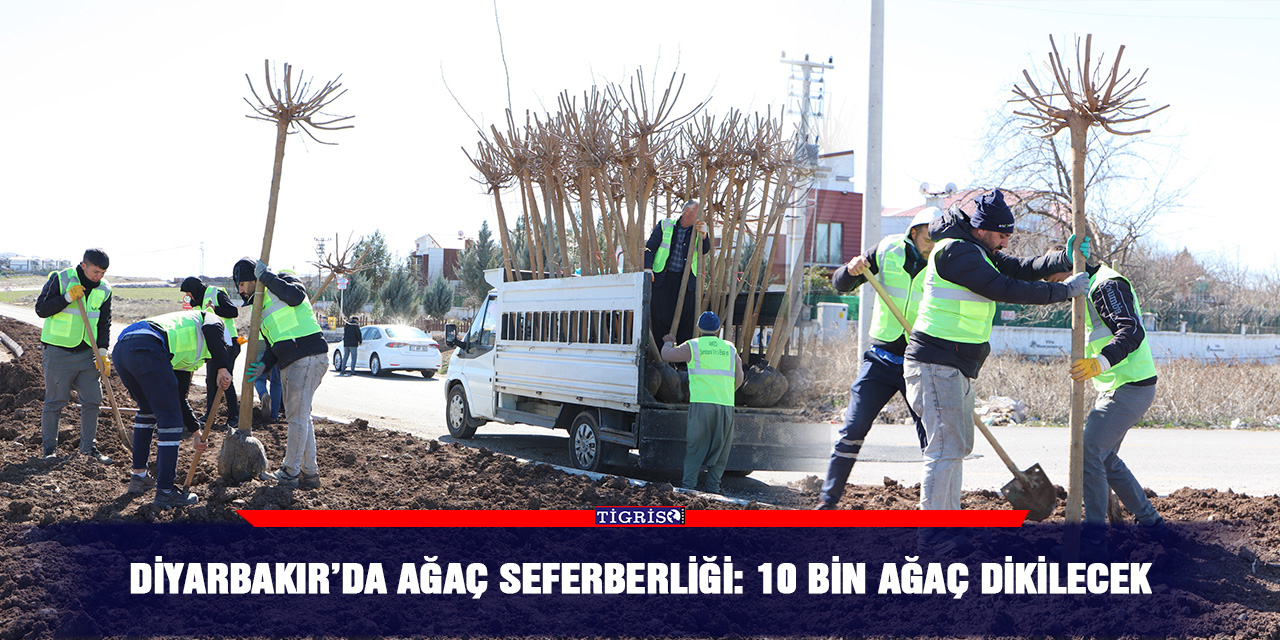 Diyarbakır’da ağaç seferberliği: 10 bin ağaç dikilecek