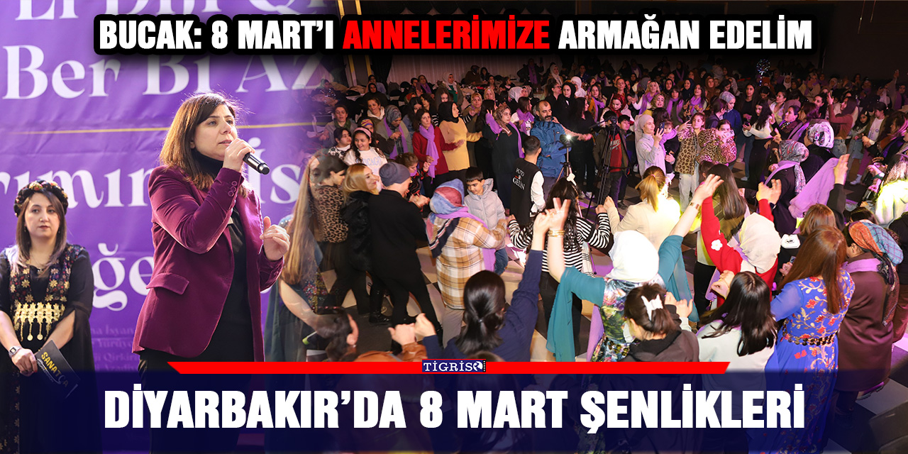 Diyarbakır’da 8 Mart şenlikleri