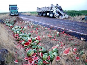 Karpuzlar yola savruldu