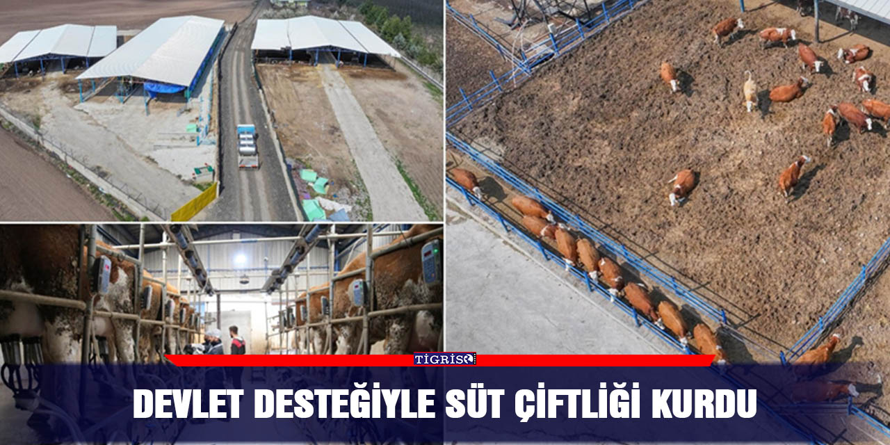 Devlet desteğiyle süt çiftliği kurdu