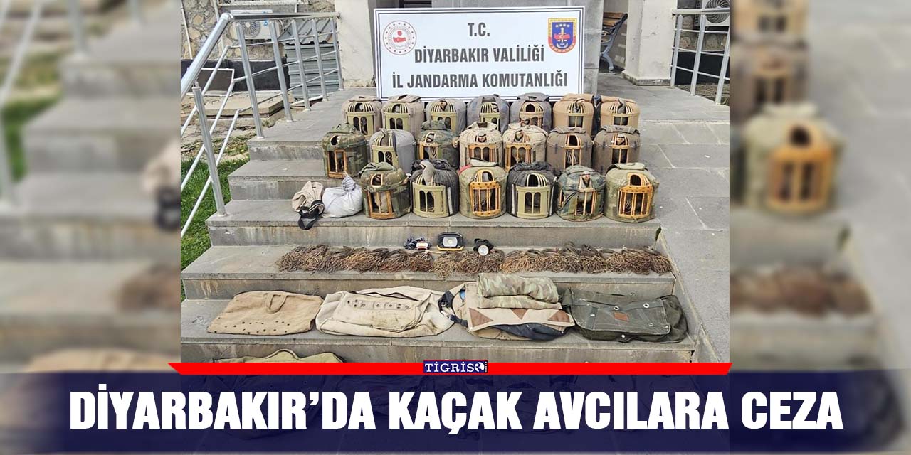 Diyarbakır’da kaçak avcılara ceza