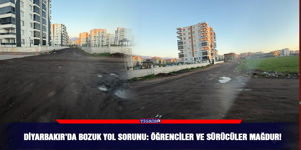 Diyarbakır’da bozuk yol sorunu: Öğrenciler ve sürücüler mağdur!