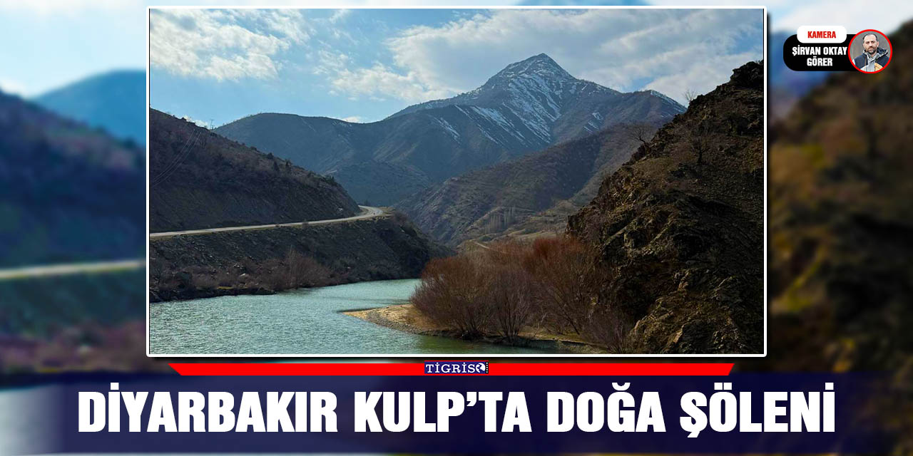 VİDEO - Diyarbakır Kulp’ta doğa şöleni