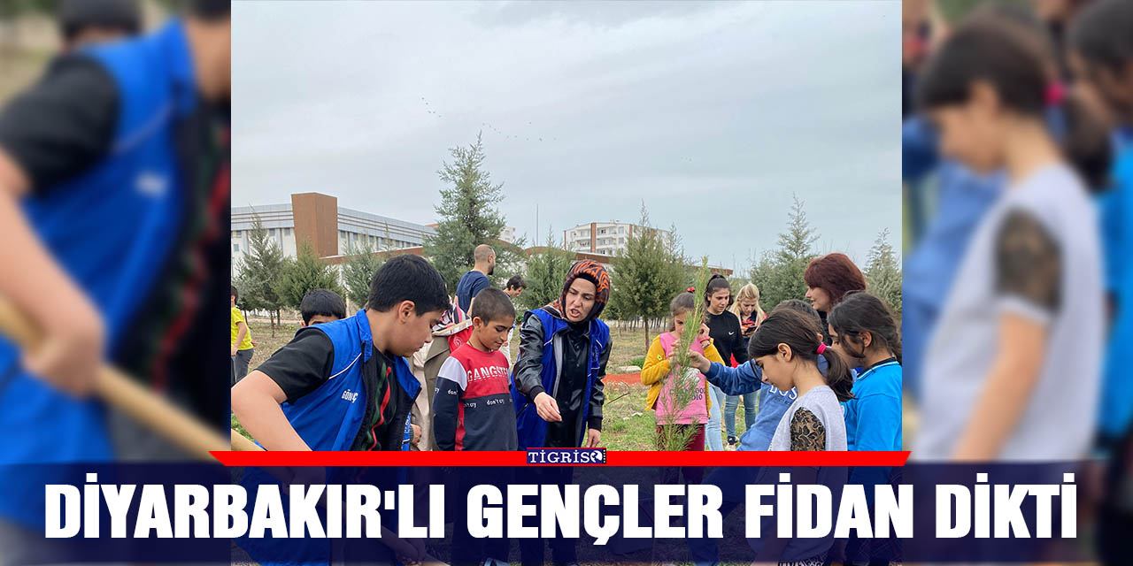 Diyarbakır'lı gençler fidan dikti