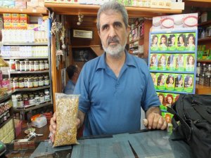 Ter kokusuna çare'nergis çiçeği'