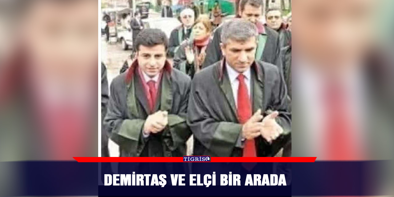 Demirtaş ve Elçi bir arada