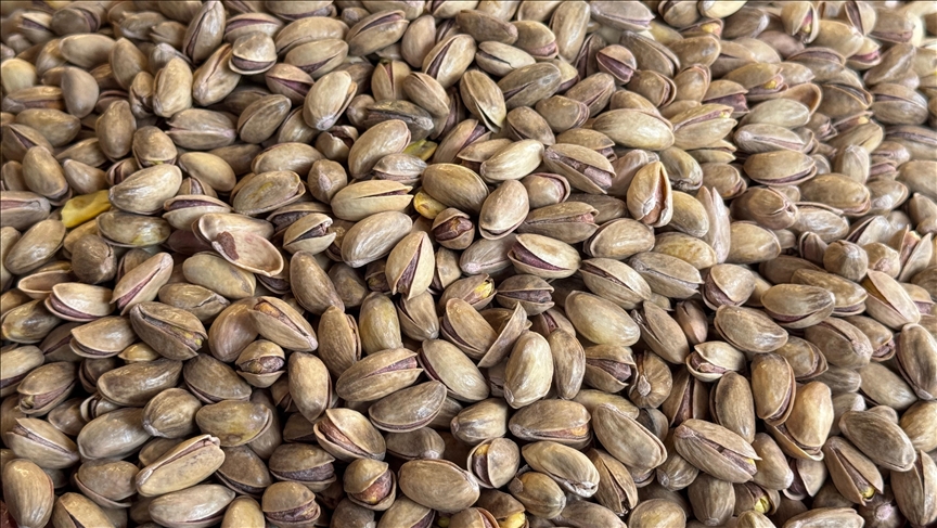 Türkiye'den yılın ilk çeyreğinde 59,7 milyon dolarlık fıstık ihraç edildi