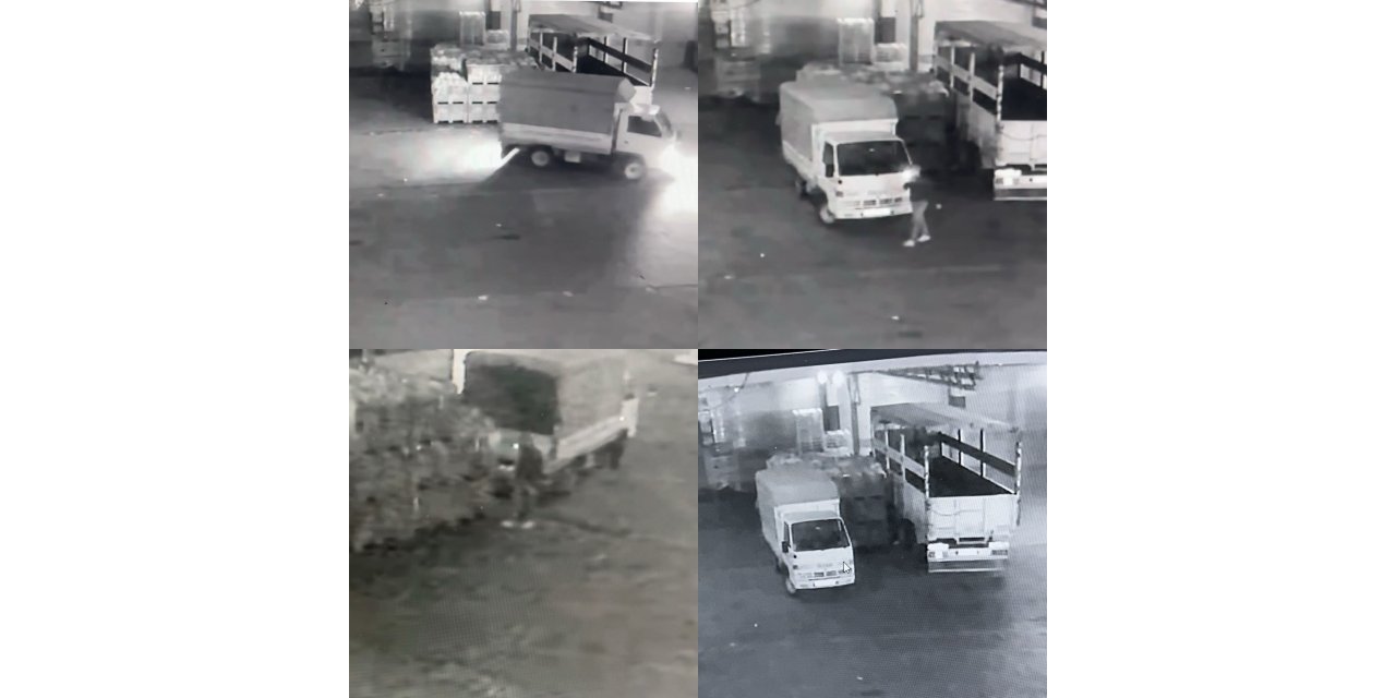 700 kilo karpuz çalındı!