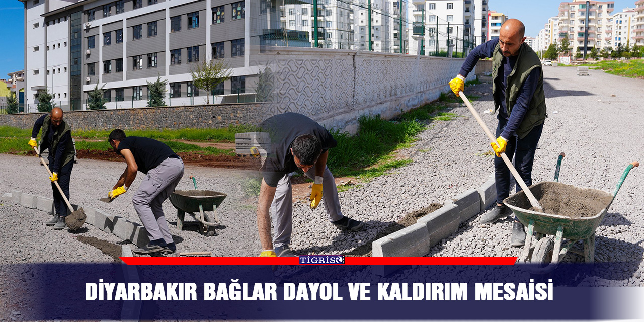 Diyarbakır Bağlar dayol ve kaldırım mesaisi