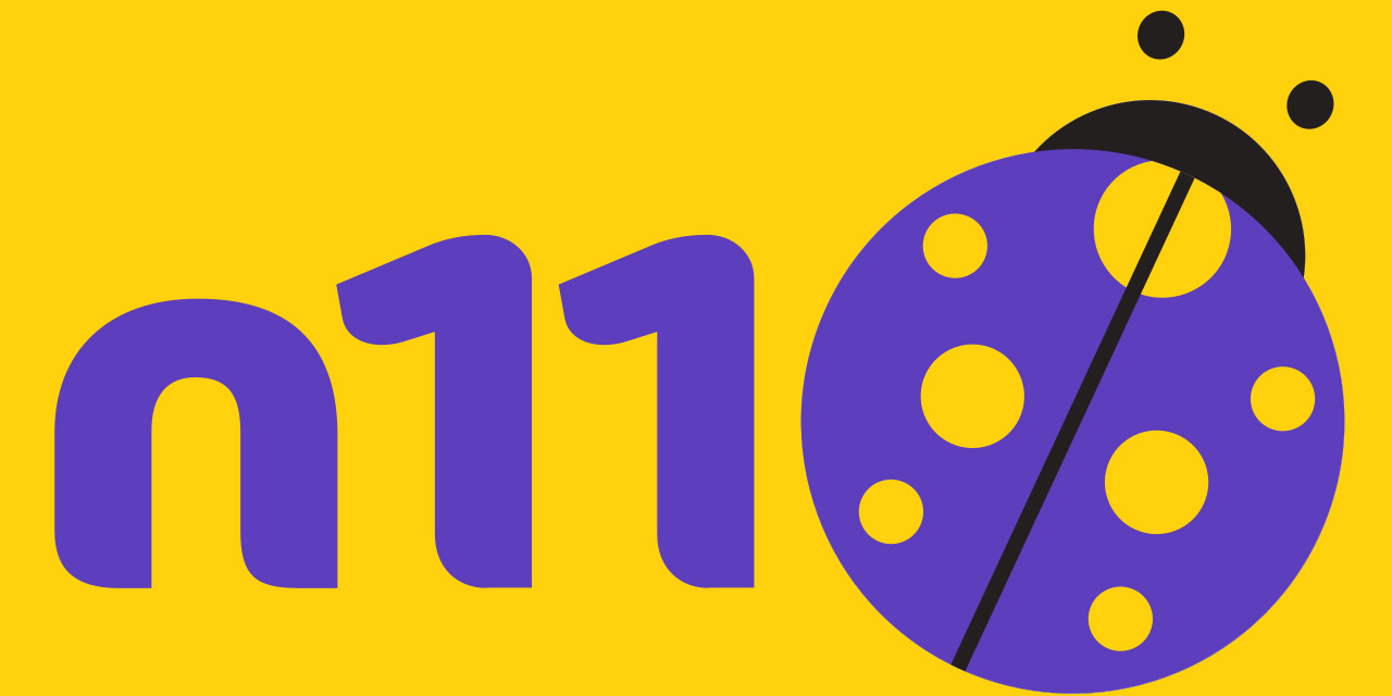 N11 yabancılara satıldı