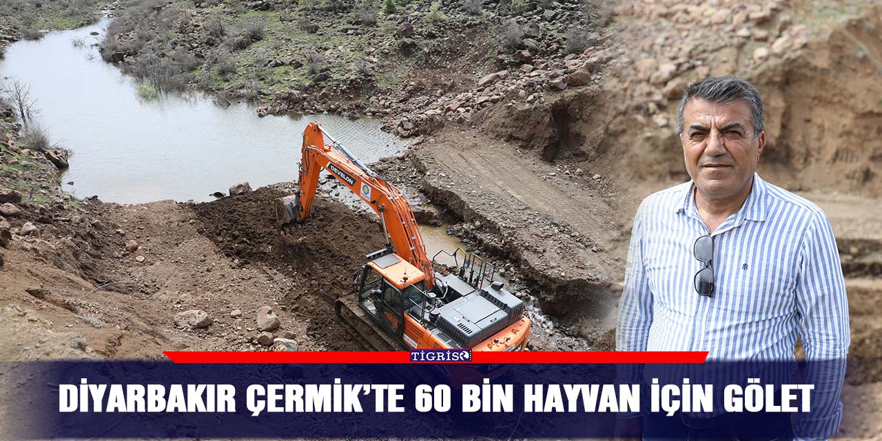 Diyarbakır Çermik’te 60 bin hayvan için gölet