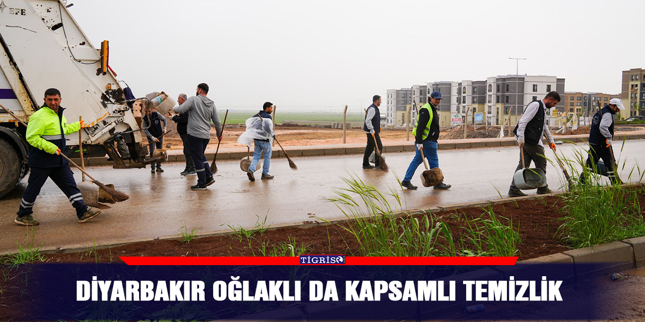 Diyarbakır Oğlaklı da kapsamlı temizlik