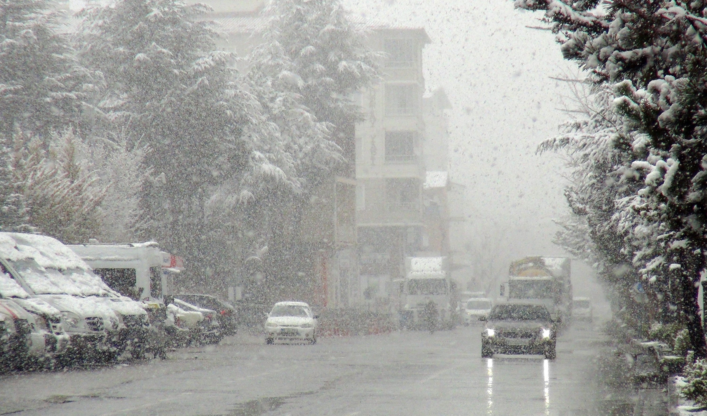 Ahlat’ta nisan karı etkili oldu