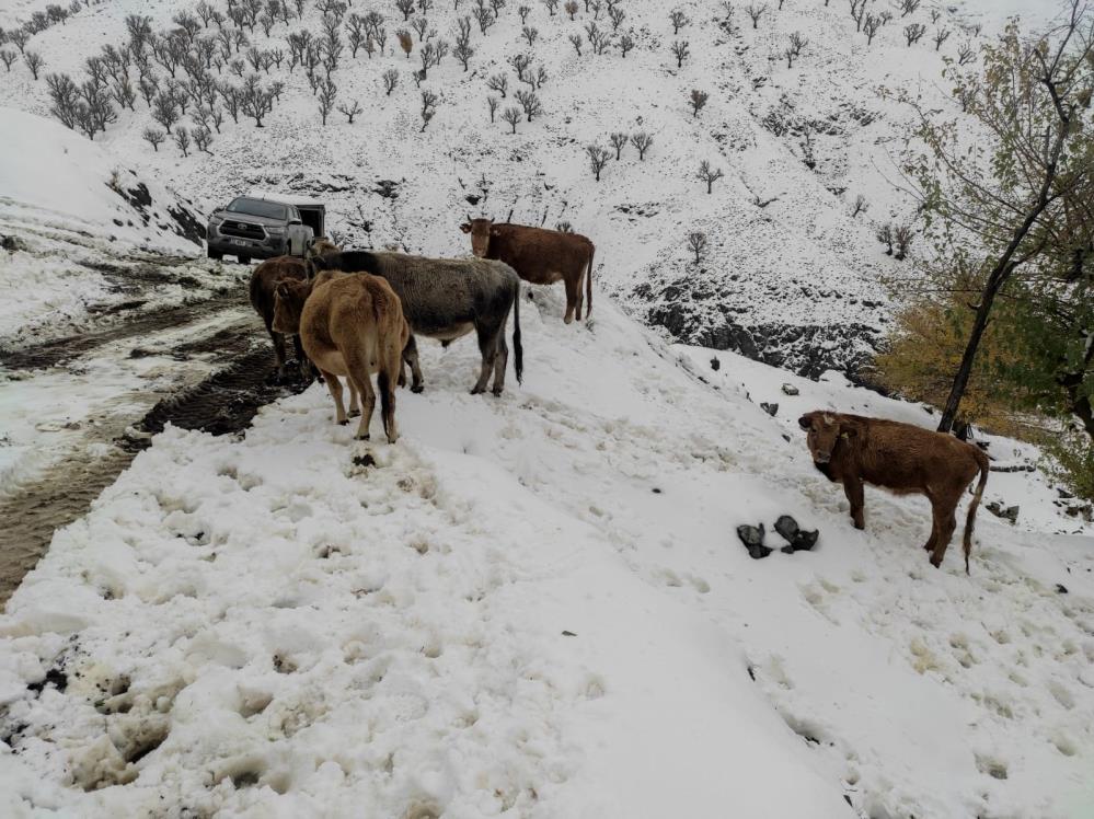 Batman'da nisan ayında kar çilesi