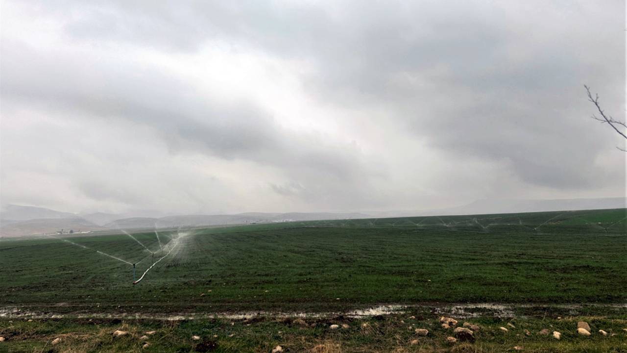 “Yağmura rağmen sulama, enerji kaynaklarını tüketiyor”