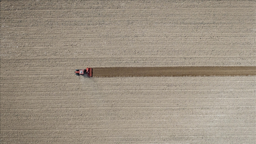 Tarım ÜFE aylık bazda yüzde 6,91 arttı