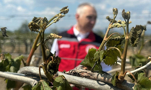 Bakan açıkladı: Çiftçilere zirai don yardımı!