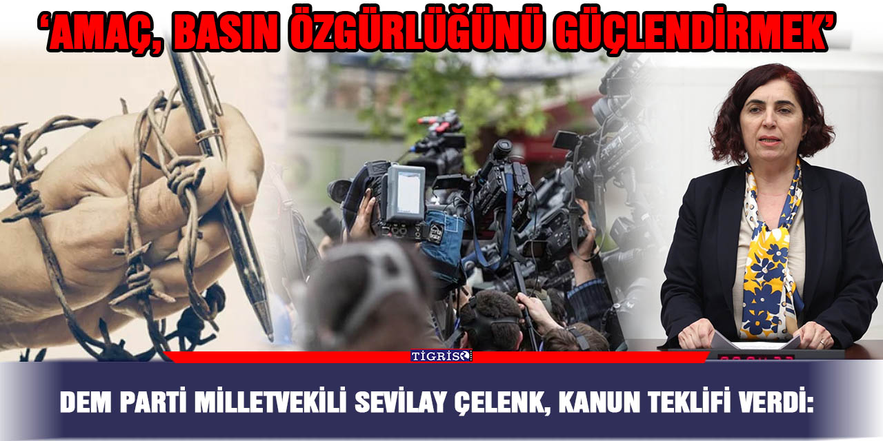 DEM Parti Milletvekili Sevilay Çelenk, kanun teklifi verdi:  ‘Amaç, basın özgürlüğünü güçlendirmek’