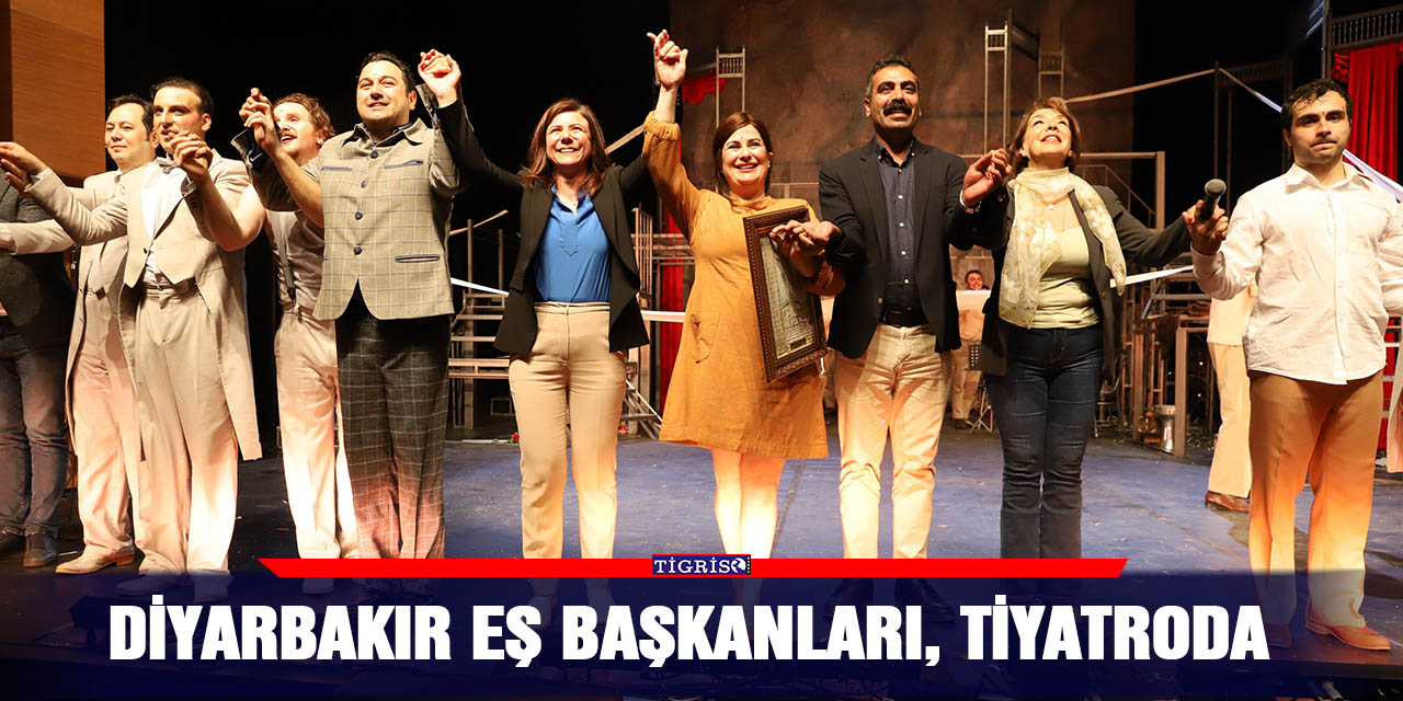 Diyarbakır Eş Başkanları, tiyatroda