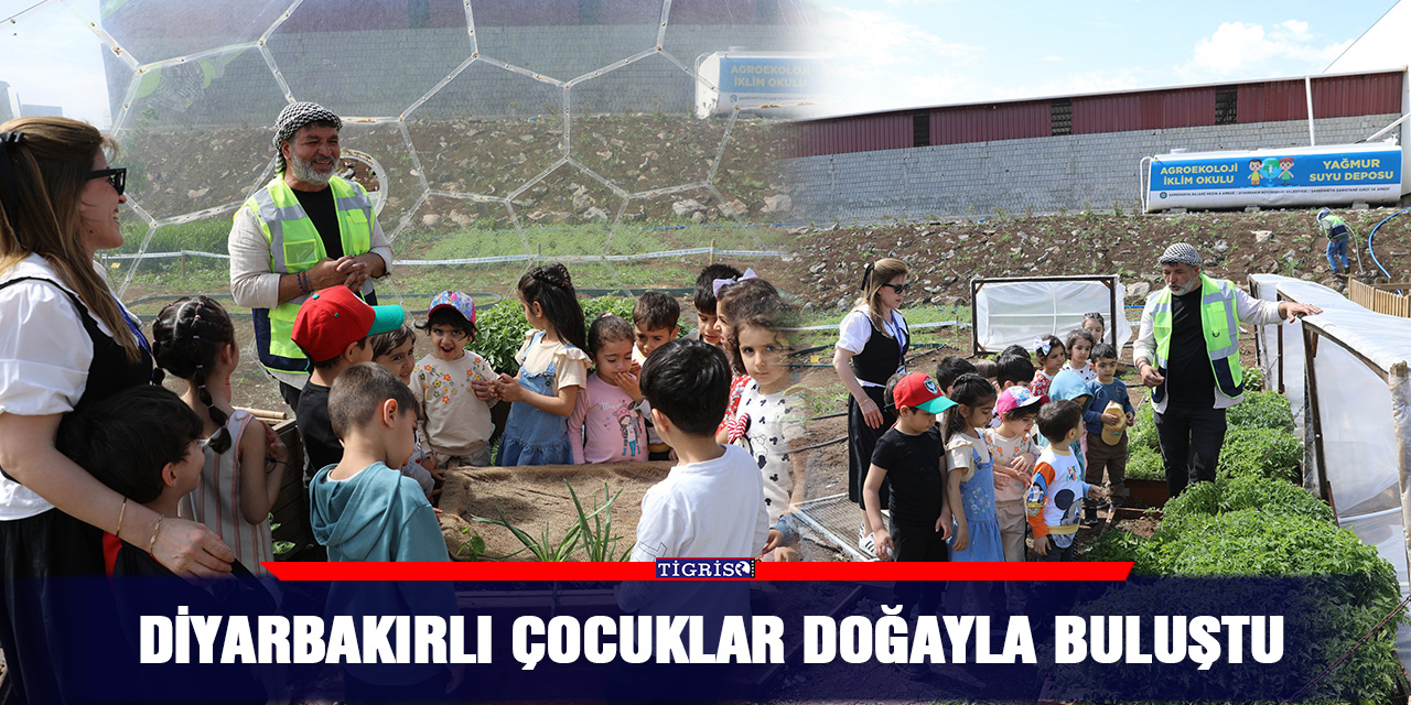 Diyarbakırlı çocuklar doğayla buluştu