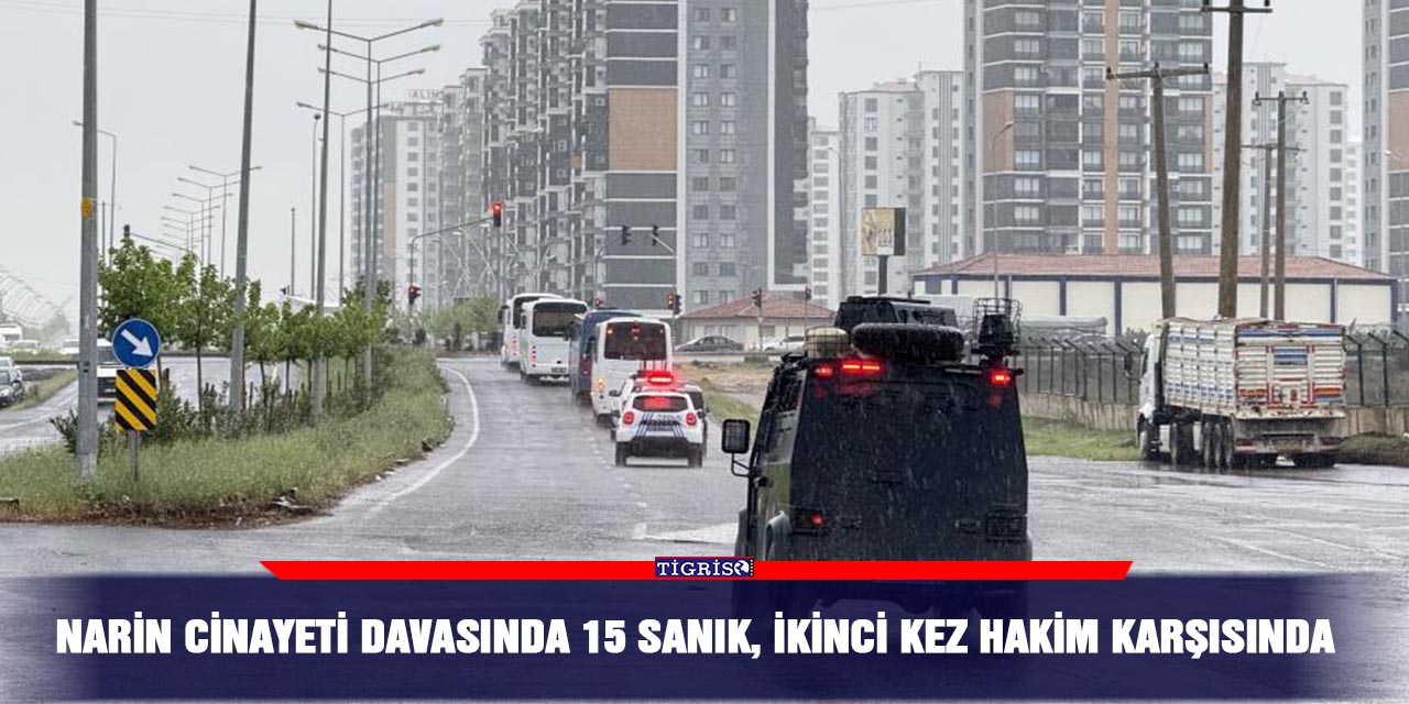 Narin cinayeti davasında 15 sanık, ikinci kez hakim karşısında