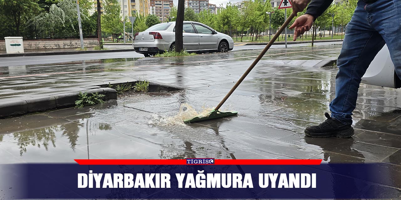 Diyarbakır yağmura uyandı
