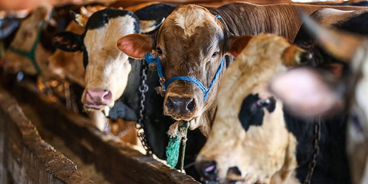 Kurban bayramı’nda nakil kuralları değişti
