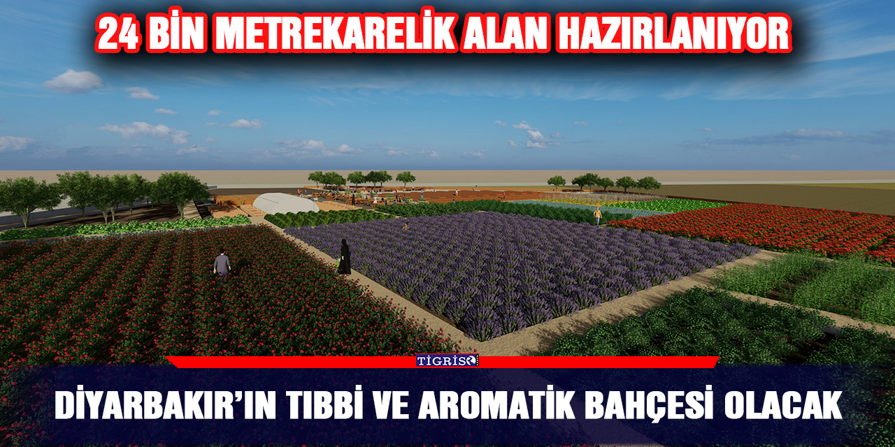 Diyarbakır’ın tıbbi ve aromatik bahçesi olacak