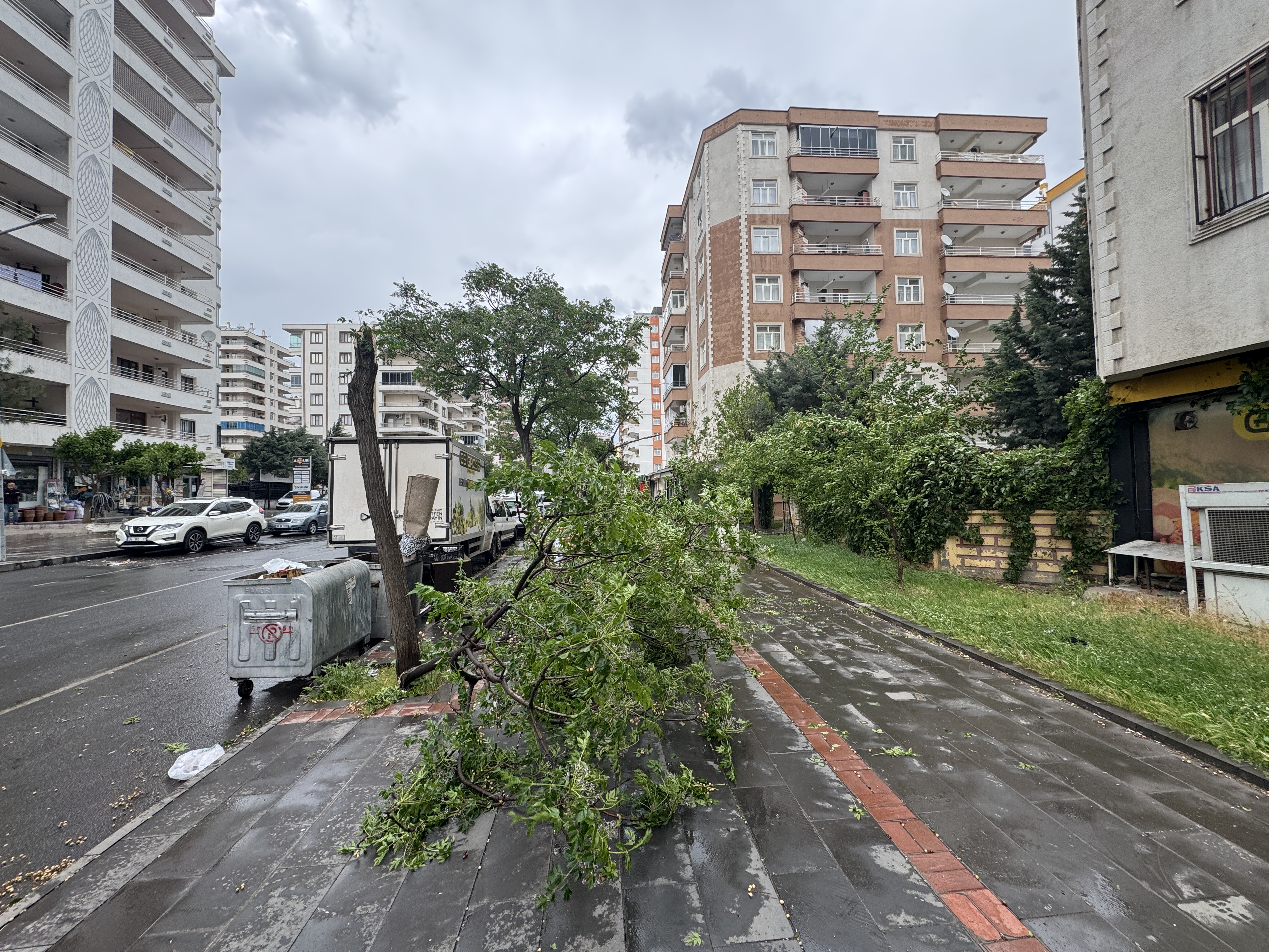 Diyarbakır’da kuvvetli rüzgar ağaçları devirdi