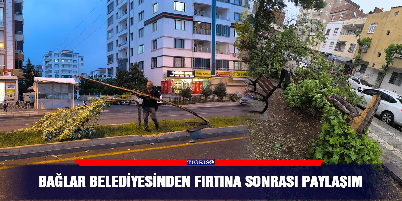 Bağlar belediyesinden fırtına sonrası paylaşım