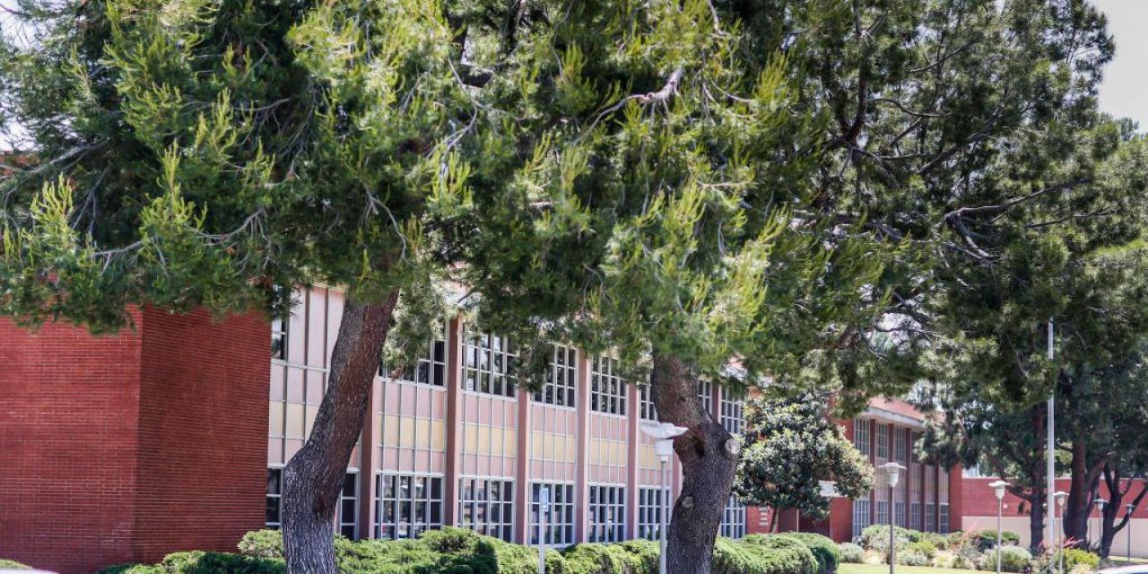 ABD’de 7 bin çocuğun istismarı davası:  4 milyar dolar tazminat