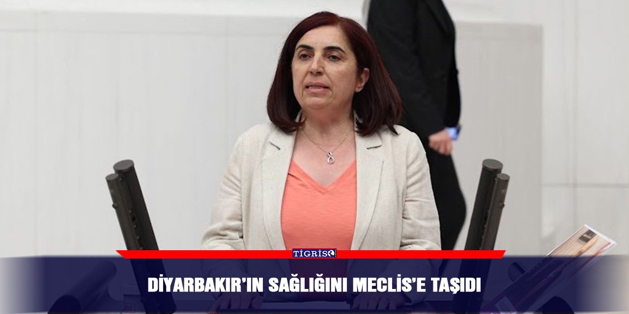 Diyarbakır’ın sağlığını Meclis’e taşıdı