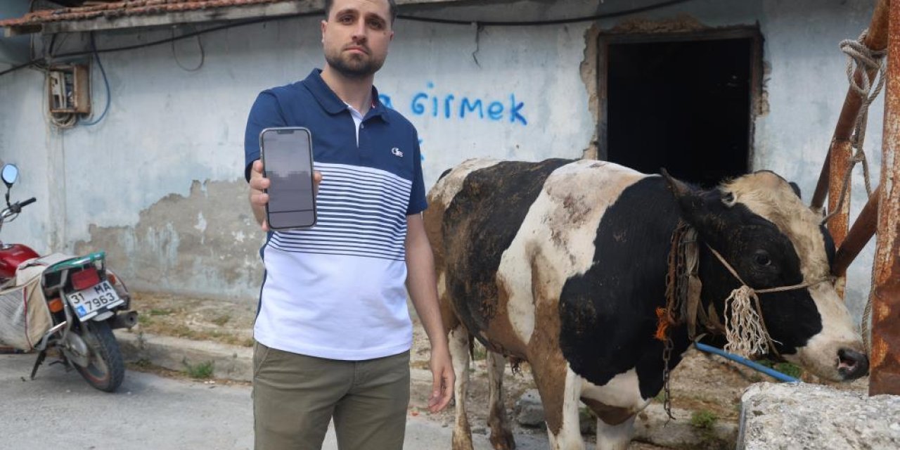 Sosyal medyada kurbanlık aldı, dolandırıldı