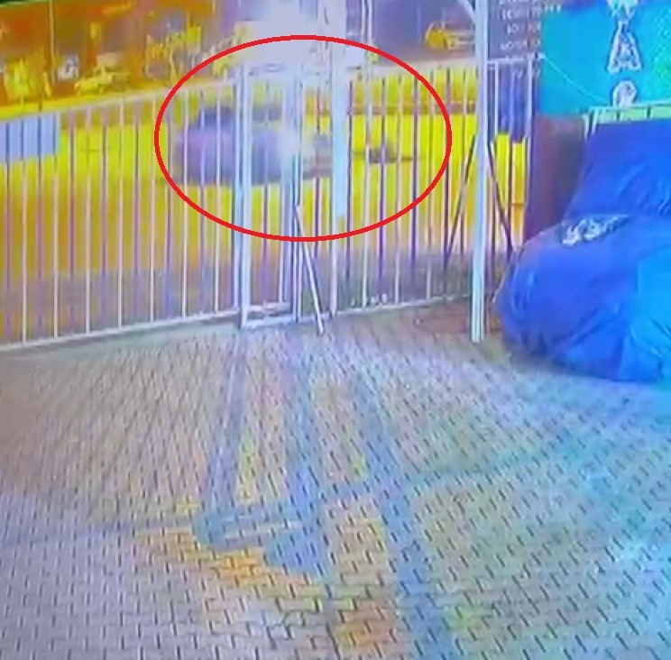 Otomobilin çarptığı genç hayatını kaybetti