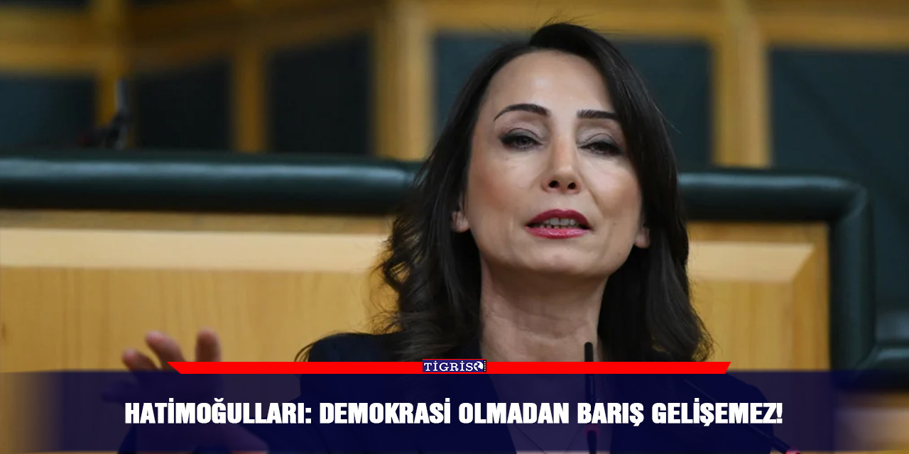 Hatimoğulları: Demokrasi olmadan barış gelişemez!