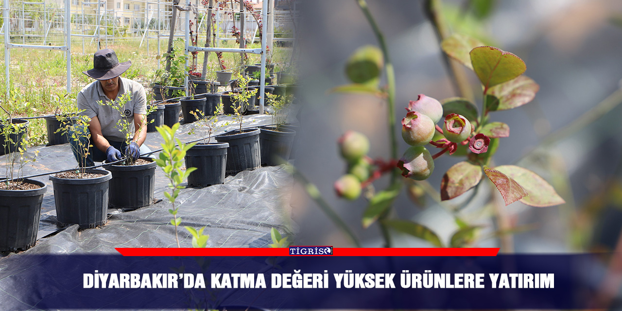 Diyarbakır’da katma değeri yüksek ürünlere yatırım