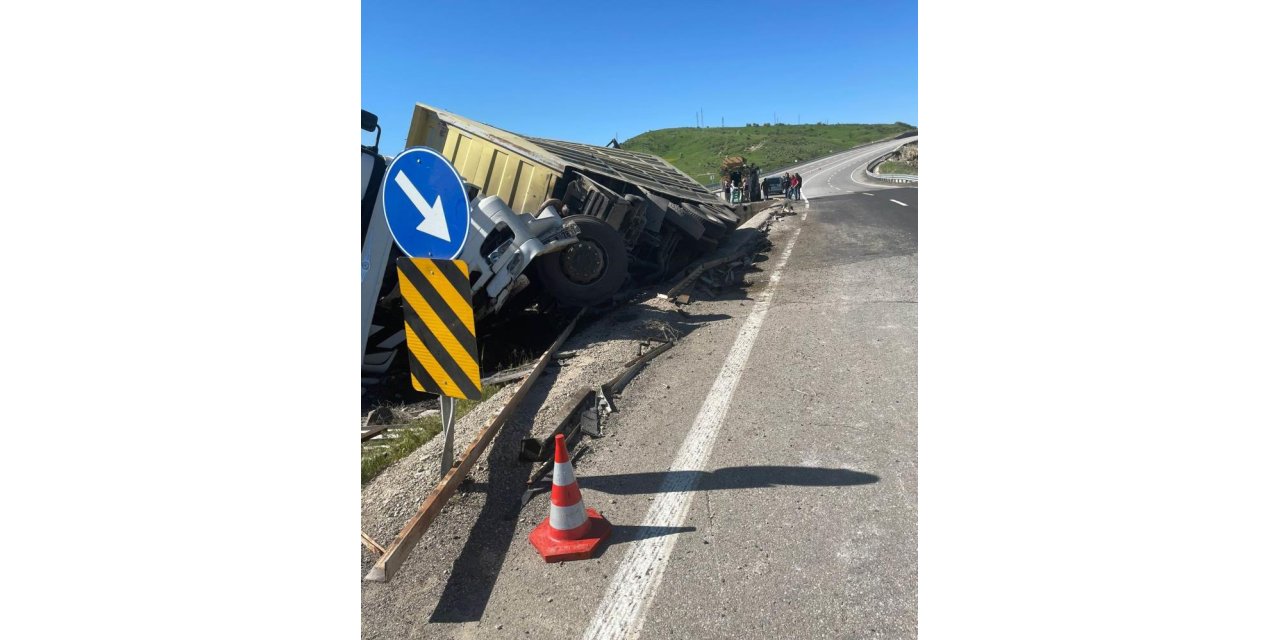 Kurbanlık taşıyan TIR devrildi