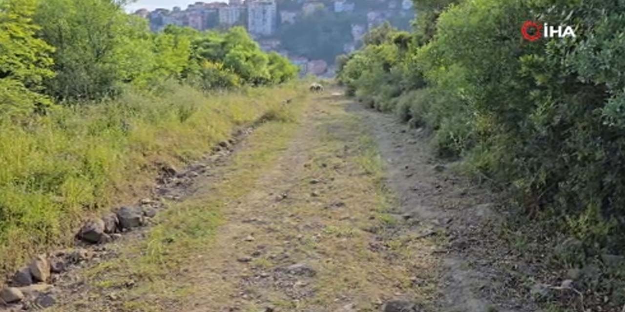 “Çalışmaya gidiyorum” yalanıyla cinayeti gizlediler!