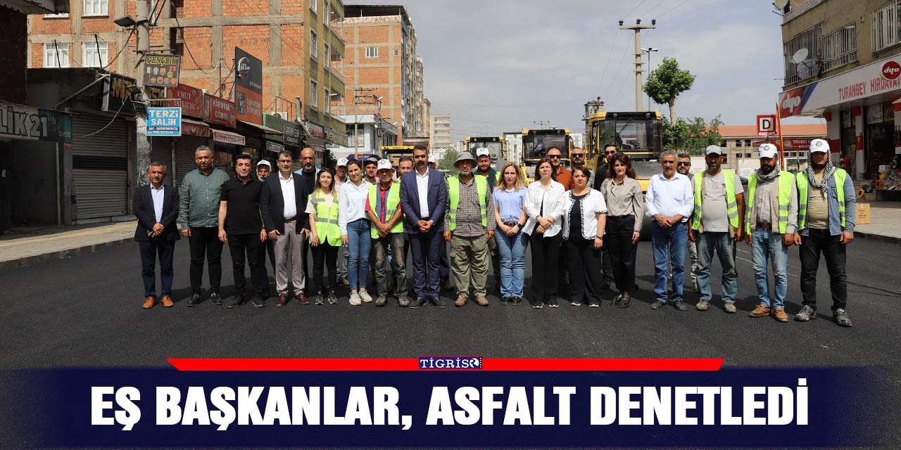 Eş Başkanlar, asfalt denetledi