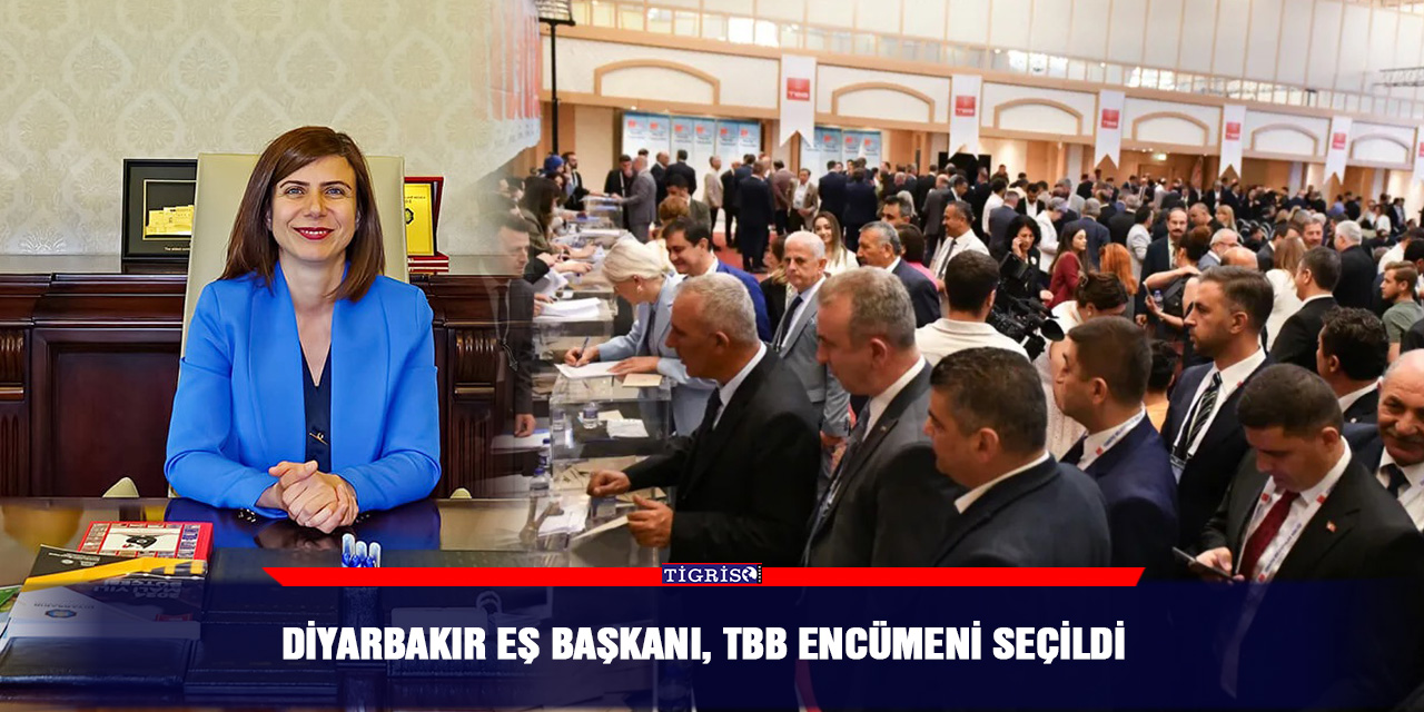 Diyarbakır Eş Başkanı, TBB Encümeni seçildi
