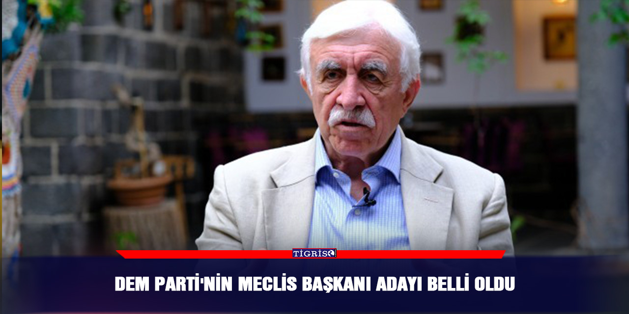 DEM Parti'nin Meclis Başkanı adayı belli oldu