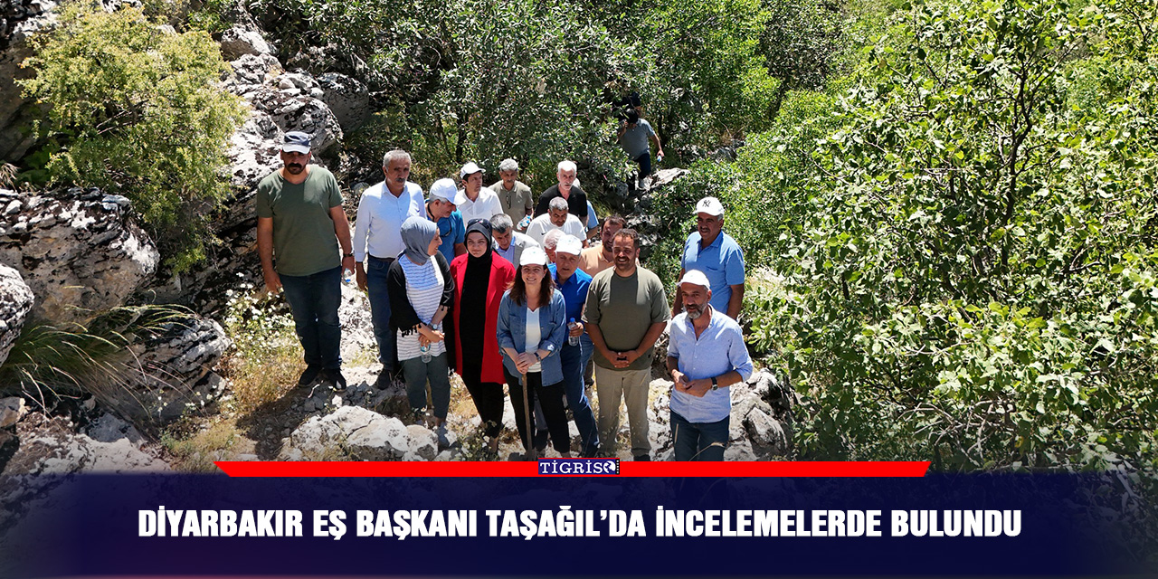 Diyarbakır eş başkanı Taşağıl’da incelemelerde bulundu