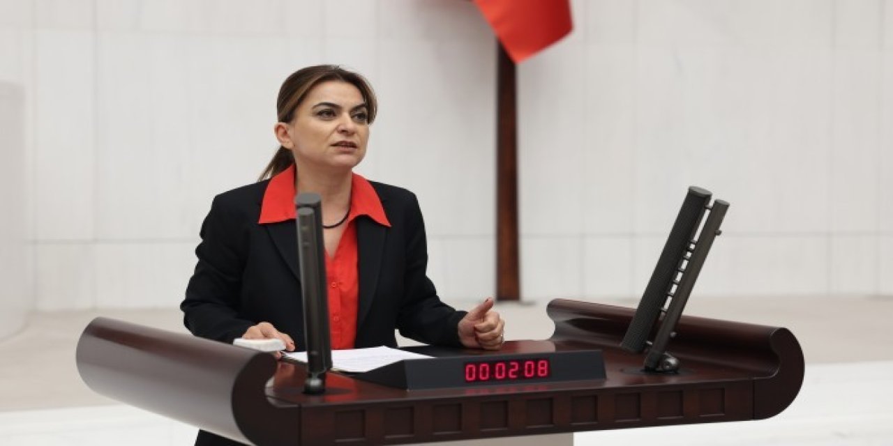 DEM Partili Koçyiğit: '"Covid-19 düzenlemesini AKP infaz paketinden çıkardı"