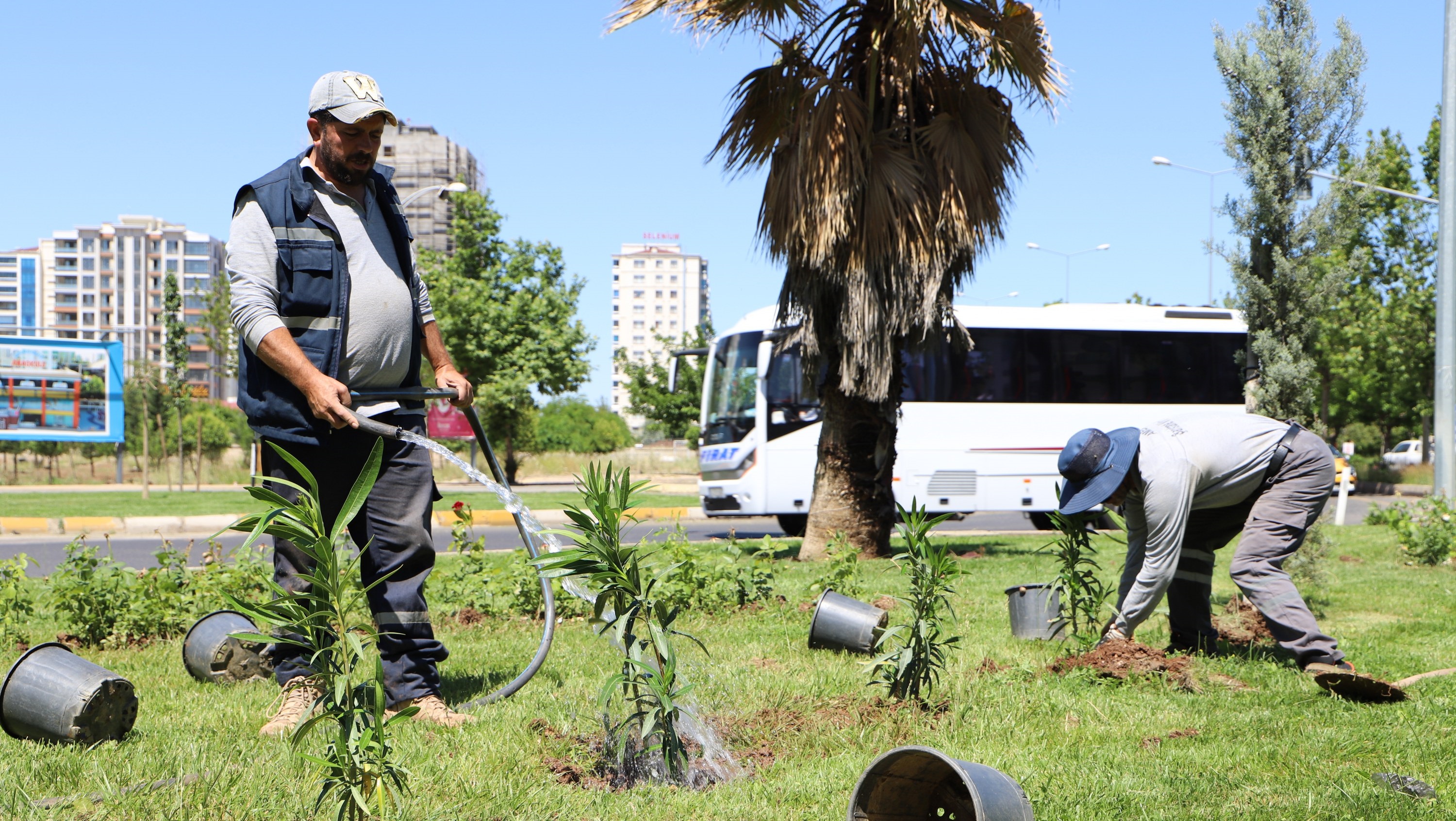 Mahabad Bulvarında peyzaj çalışmaları sürüyor